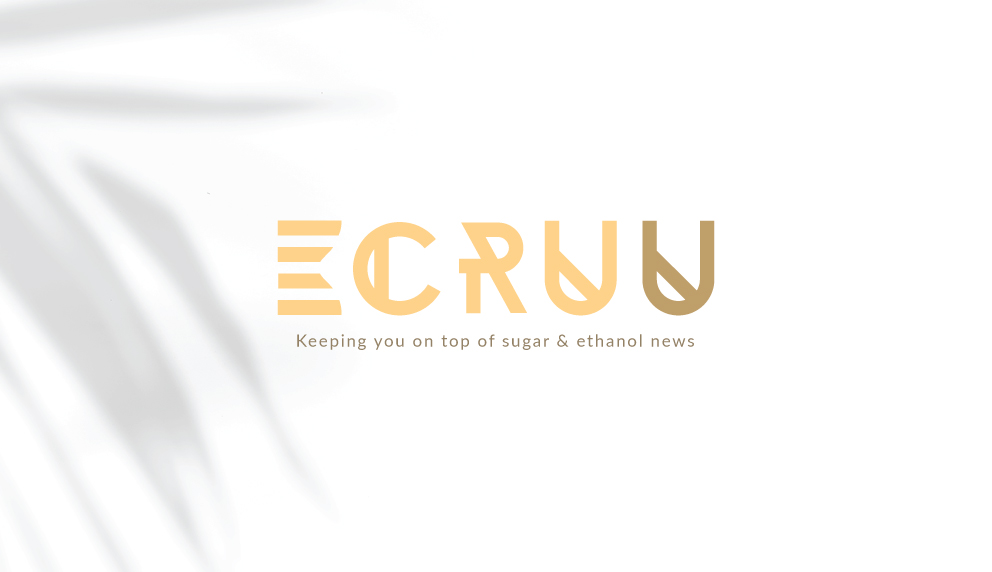 A little story behind ECRUU’s birth